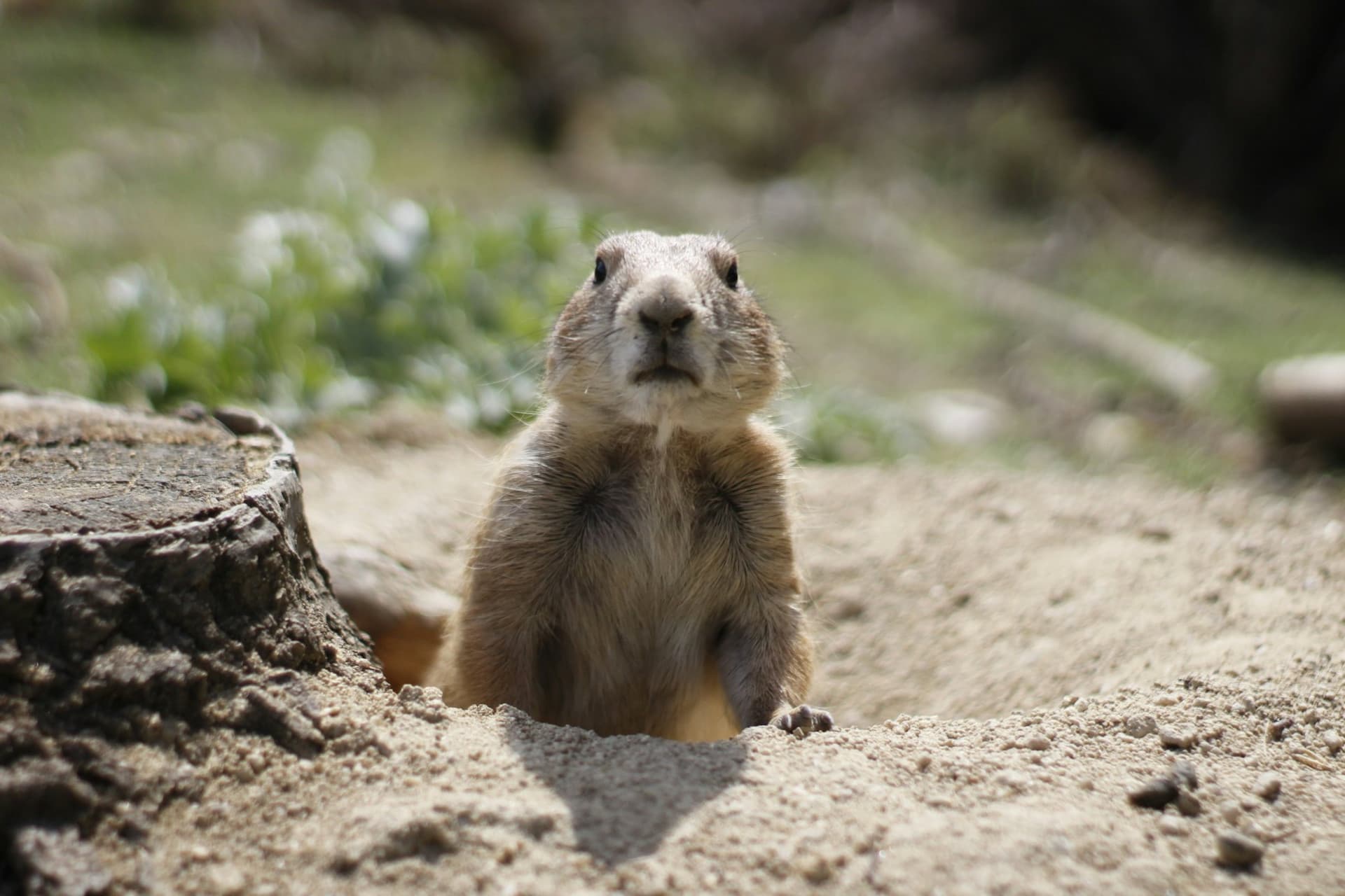 Faunia Nature Park Ticket - image 9