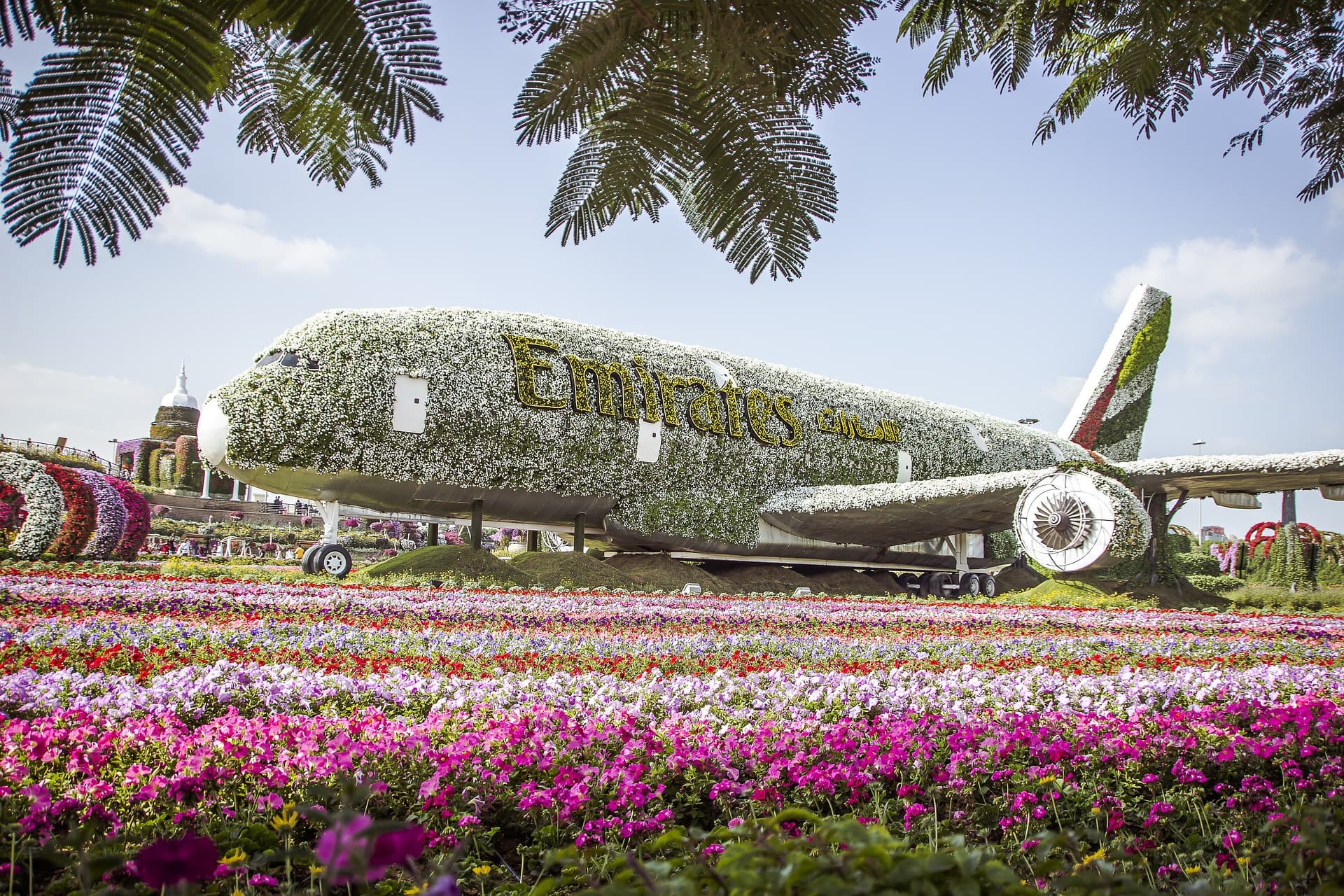 COMBO: Dubai Miracle Garden + Dubai Butterfly Garden Tickets - main image