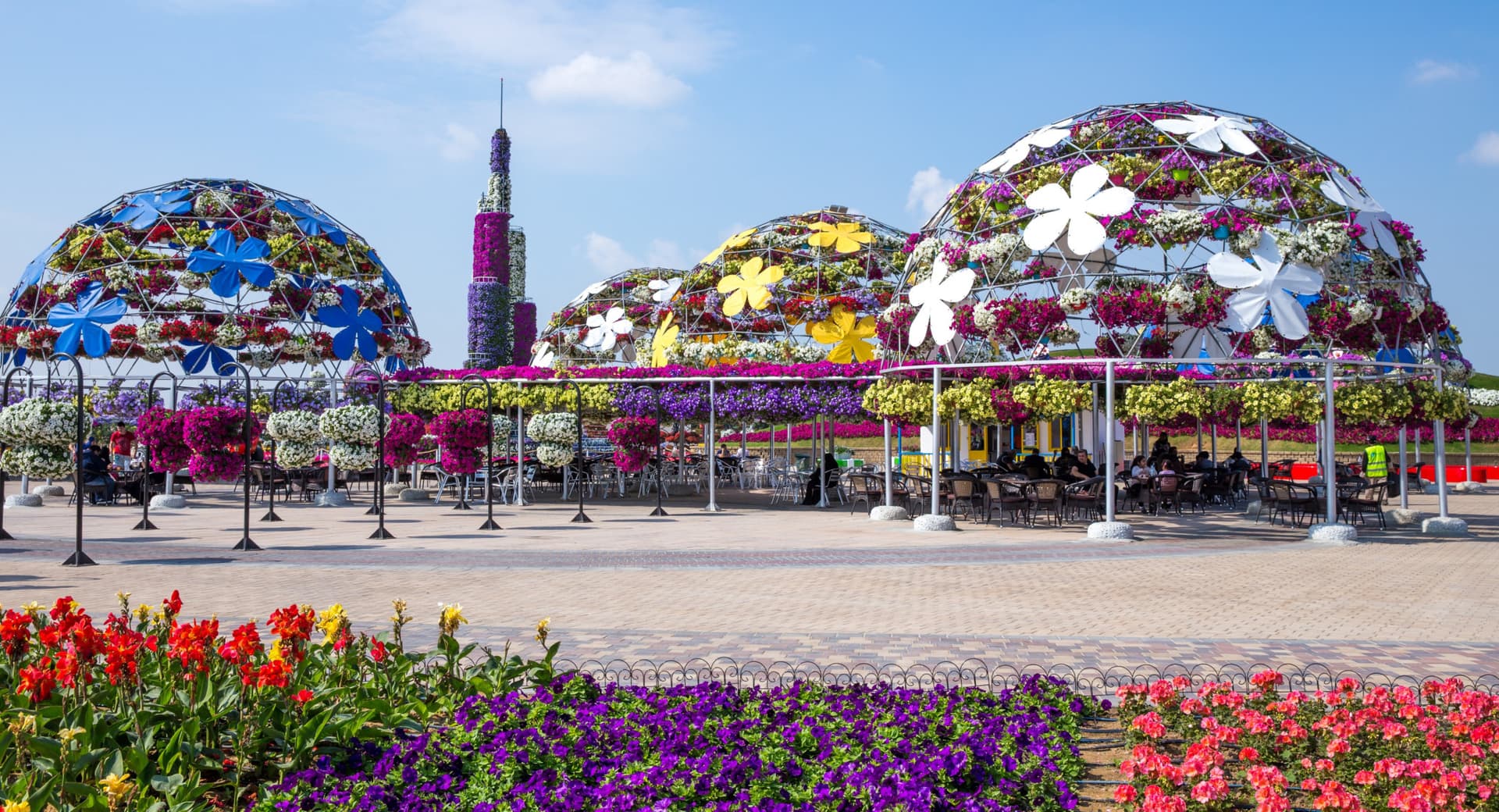 COMBO: Dubai Miracle Garden + Dubai Butterfly Garden Tickets - image 4