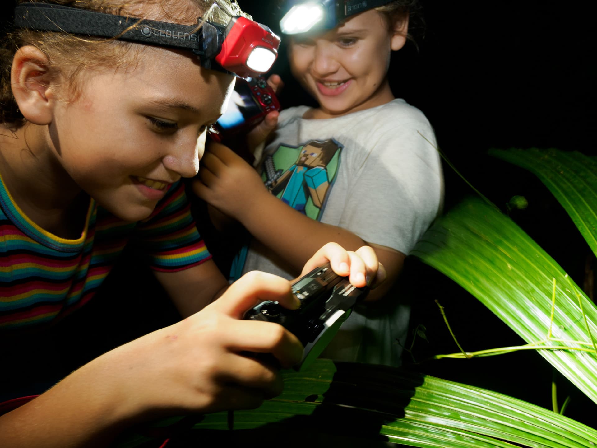 Cairns Botanic Gardens Night Walk Experience - image 2