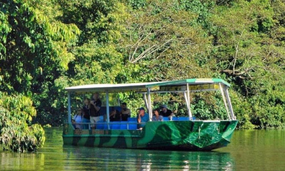 Crocodile Express Daintree Cruise from Daintree Gateway - image 4