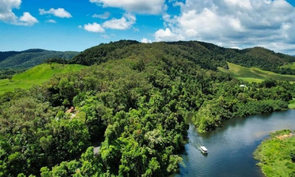 Crocodile Express Daintree Cruise from Daintree Gateway - image 3