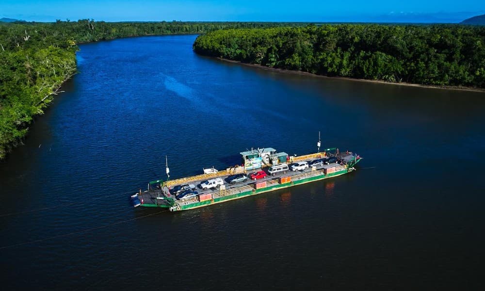 Crocodile Express Daintree Cruise from Daintree Gateway - image 5