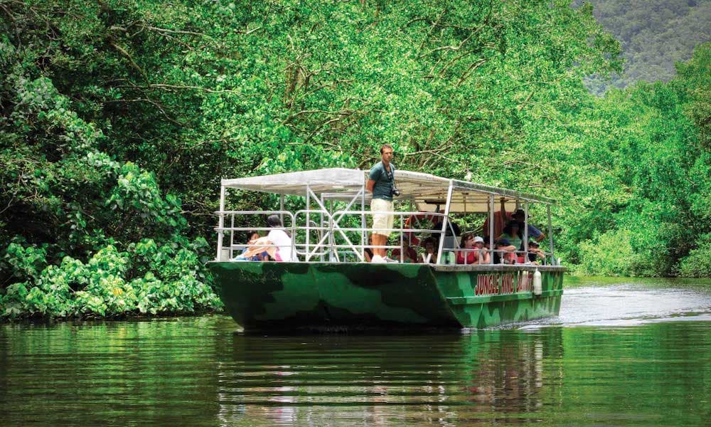 Crocodile Express Daintree Cruise from Daintree Gateway - main image